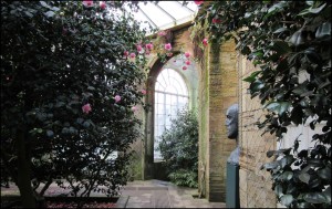 Camellia House