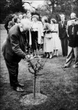 John F. Friend (Foundation Principal) planting a 'Coronation' tree