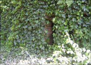 Grotto on the South Bank of the Upper Lake