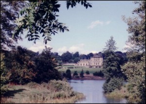 2003 - View from the Bridge in Menagerie Wood
