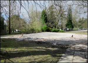 Site of the former Ezra Taylor building