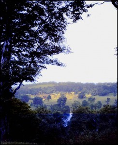 View of Bretton Park from Haigh Village