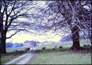 View across Deer Park