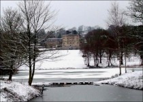 View from the bridge in Menagerie Wood