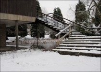 Gymnasium Steps