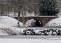 Bridge in Menagerie Wood on the south side of the lower lake.