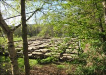 Temporary storage for paving stones and carvings. May, 2017