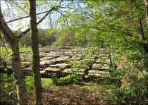 Temporary storage area for paving stones and carvings.