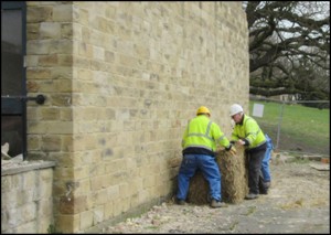 Preparations to protect the Tympanum