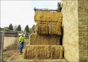 Preparing to remove the Tympanum safely