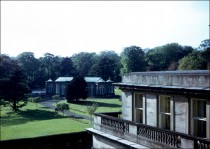View of Camellia House from the Mansion