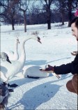 During the 'Big Freeze' of 1963